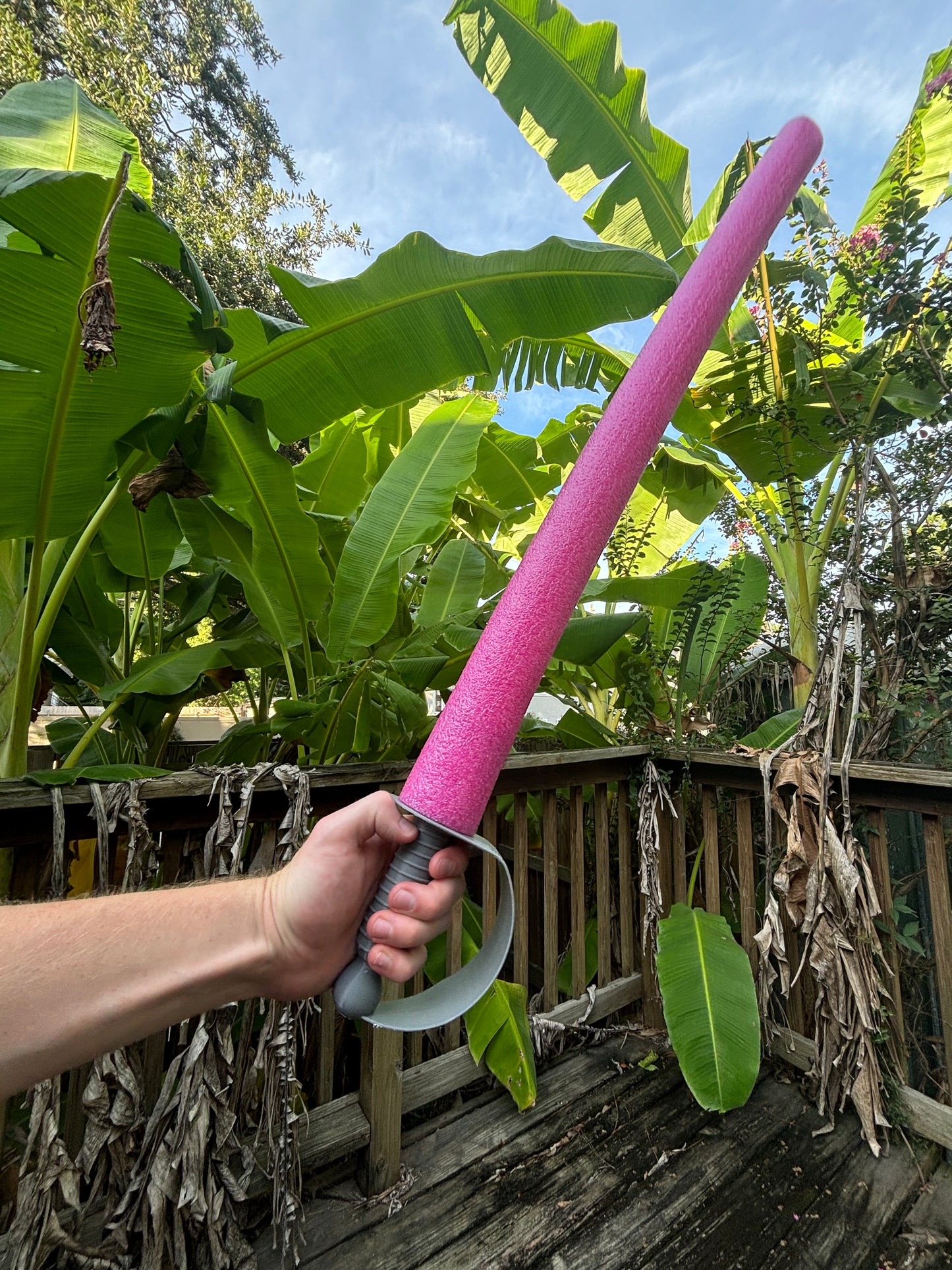 The Swash Buckler