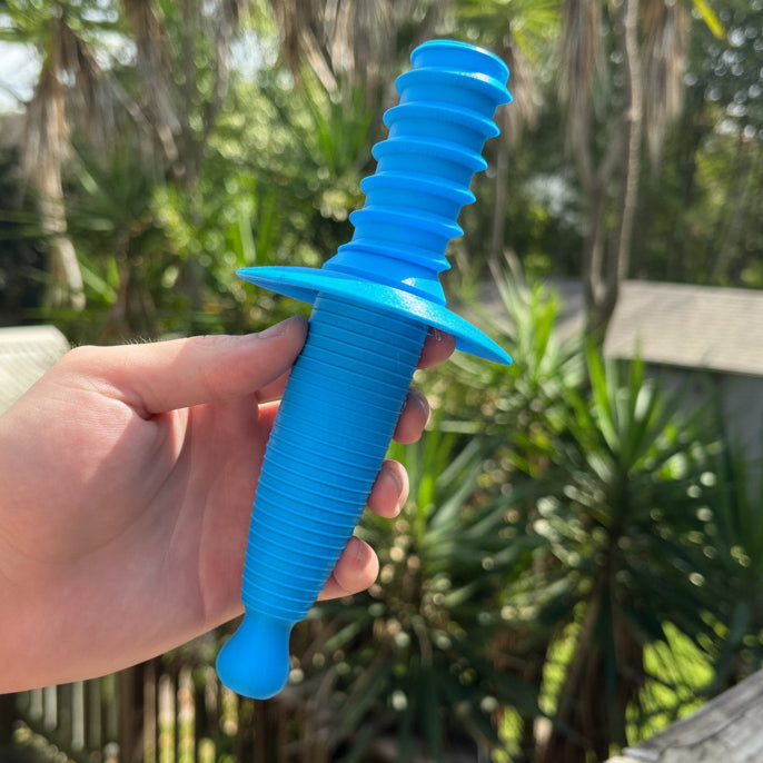 The Swash Buckler