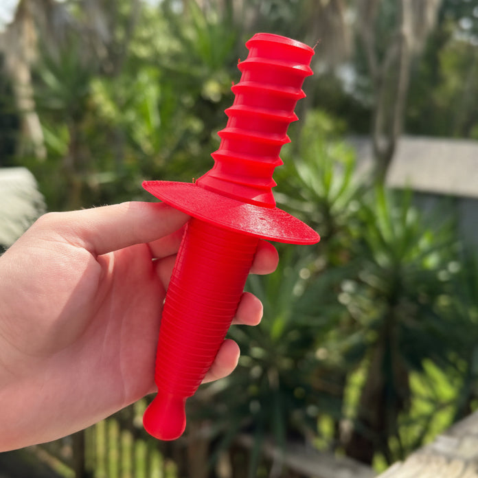 The Swash Buckler