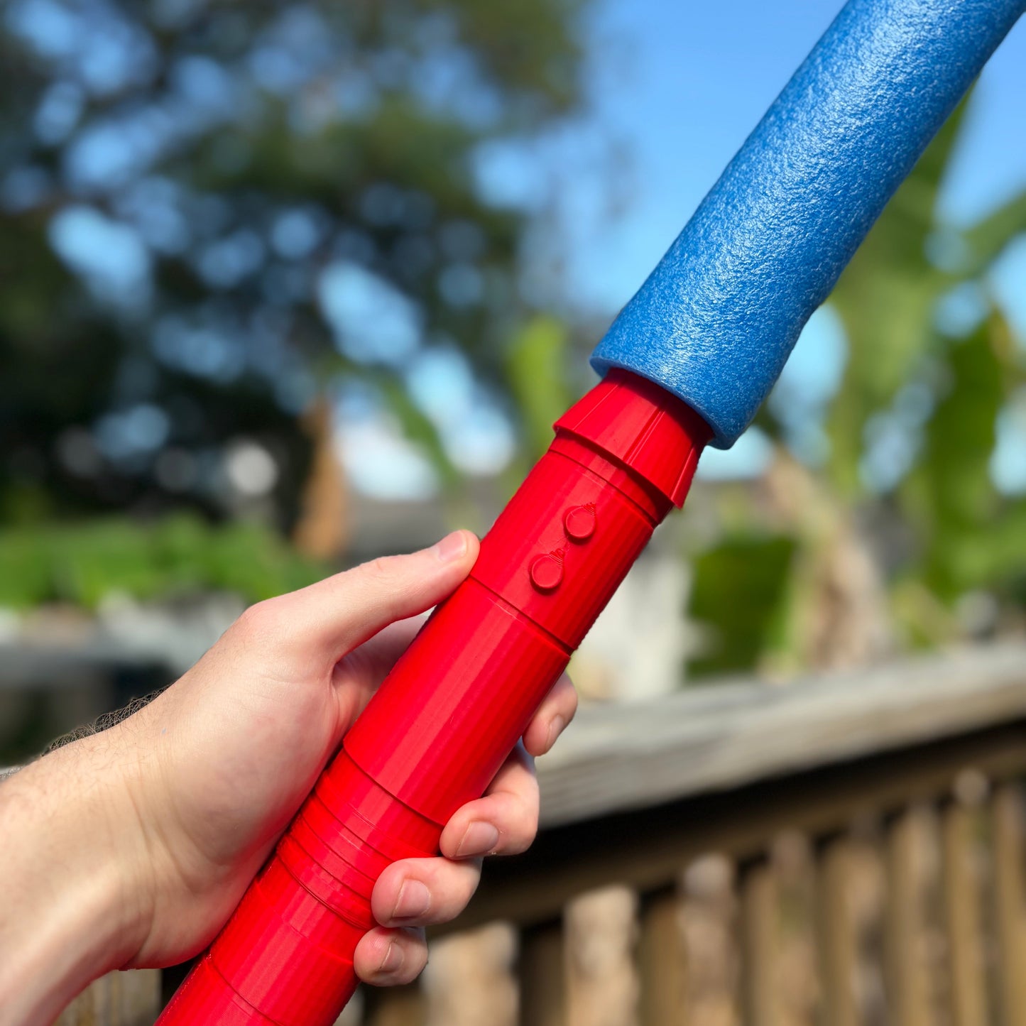 The Twin Saber